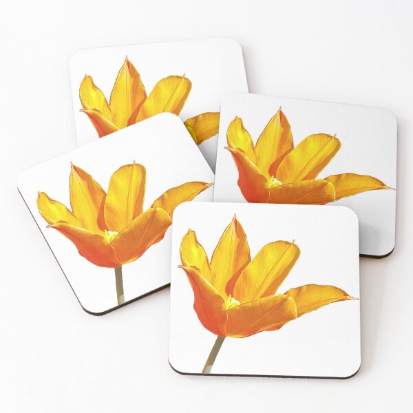 Item preview, Orange Tulip on a transparent background designed and sold by ellenhenry.