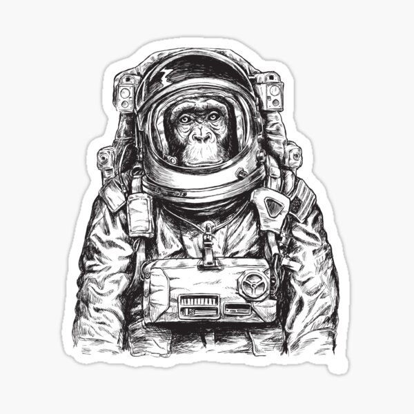 Monkey Astronaut Monkey Takes A Selfie Meditates With A Guitar Chimpanzee  Spaceman Cosmonaut Characters Astronomical Space Funny Cosmonaut  Adventure Hand Drawn Sketch Line Vector Illustration Royalty Free SVG  Cliparts Vectors And Stock