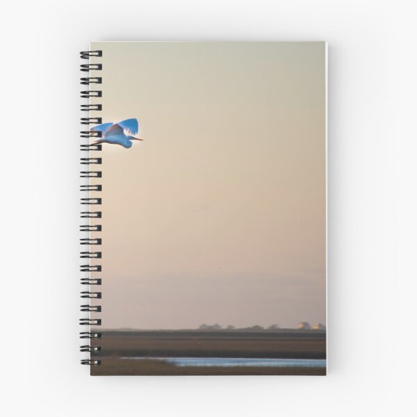 Item preview, Flying Solo designed and sold by Diego Re.