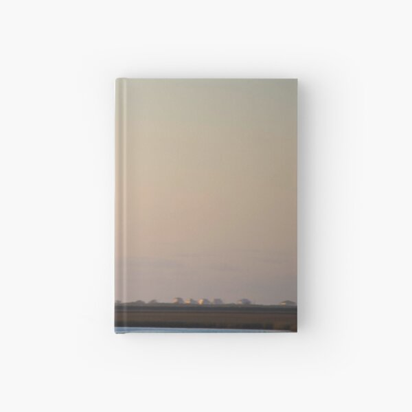 Flying Solo Hardcover Journal