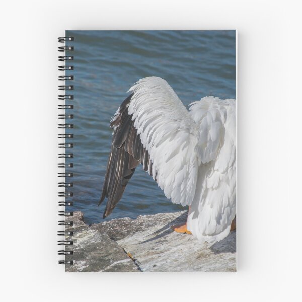 Item preview, Shy Pelican designed and sold by Diego Re.