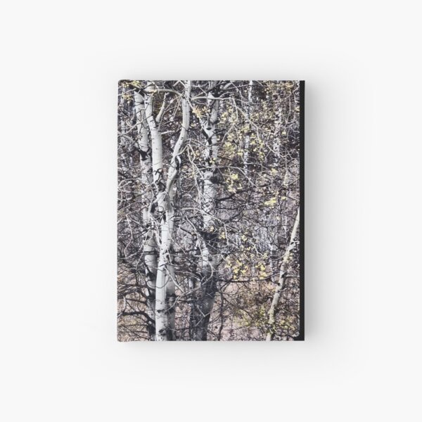 Birch Forest Hardcover Journal