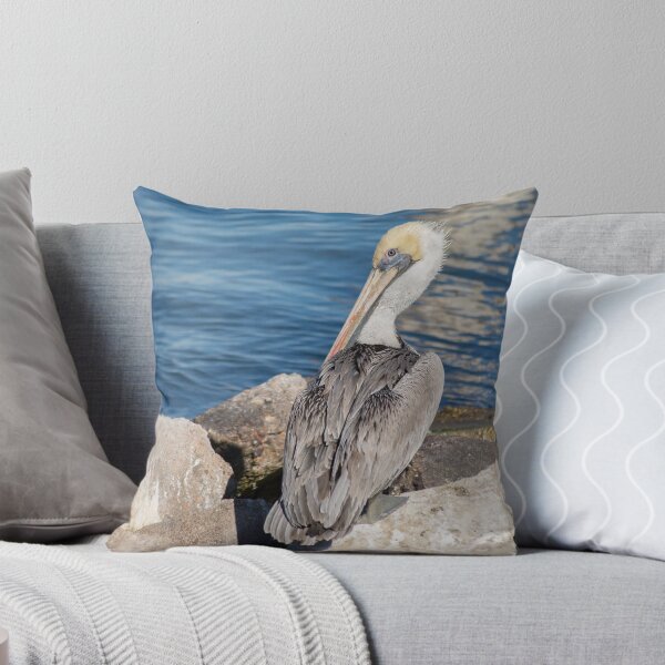 Item preview, Pelican In The Sun designed and sold by Diego Re.