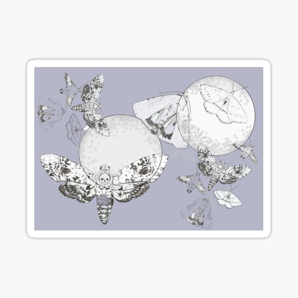 moths Sticker