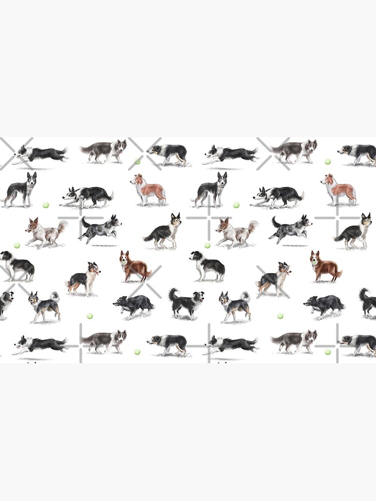 Border Collies by elspethrose