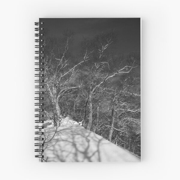 Item preview, Birches. Kamchatka. designed and sold by Igor Pozdnyakov.
