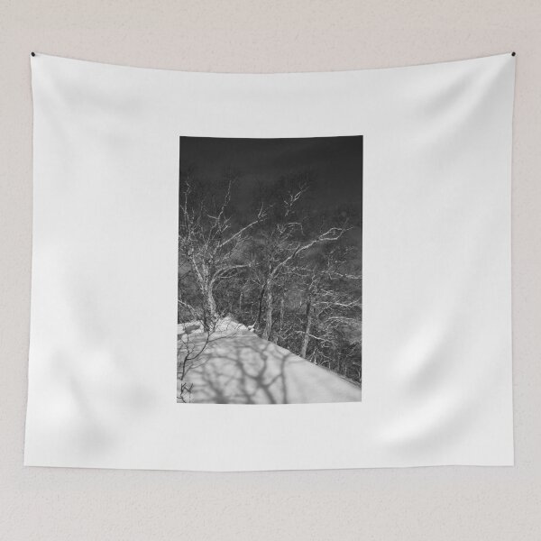 Item preview, Birches. Kamchatka. designed and sold by Igor Pozdnyakov.