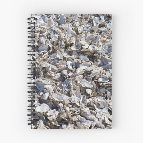 Item preview, Shucked Oyster Shells designed and sold by Diego Re.