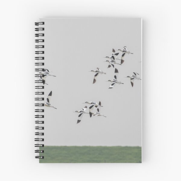 Item preview, Avocet designed and sold by LaurenTucker.