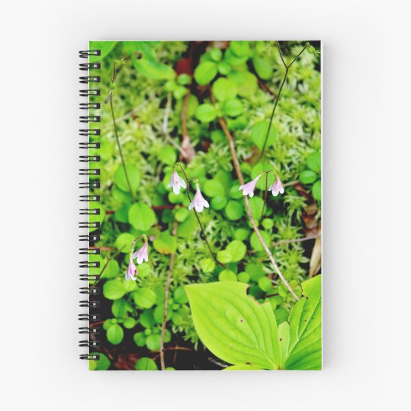 Item preview, Twinflower designed and sold by Kathleen Daley.