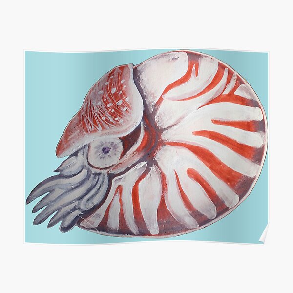 Logarithmic Spiral Posters Redbubble