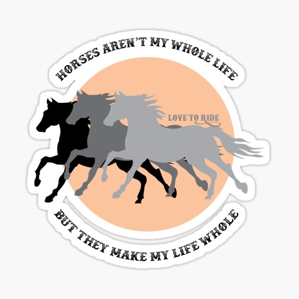 Horse Riding Decal Sticker Equine Safety Pass Wide & Slow Horse Car Sticker New 