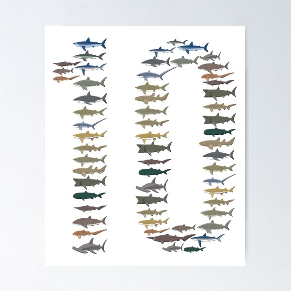 Item preview, Kids Types Of Shark 10 Year Old Boys & Girls Birthday graphic designed and sold by banwa.