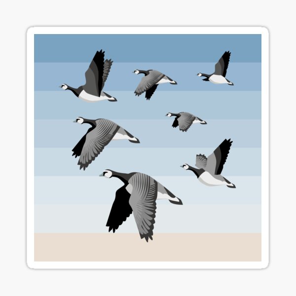Barnacle goose flock Sticker