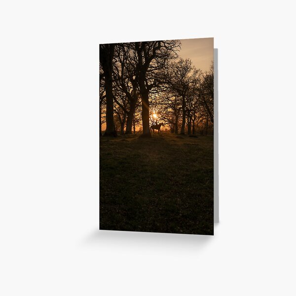 Hallmark of Nobility Greeting Card