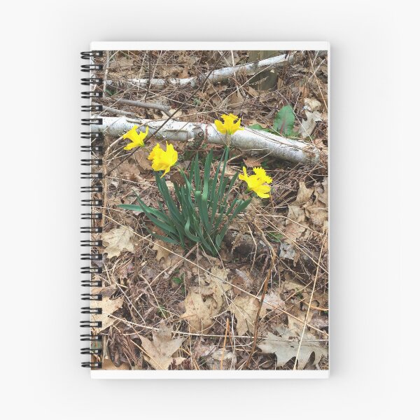 Item preview, Daffodils  designed and sold by Stephanie Fay.