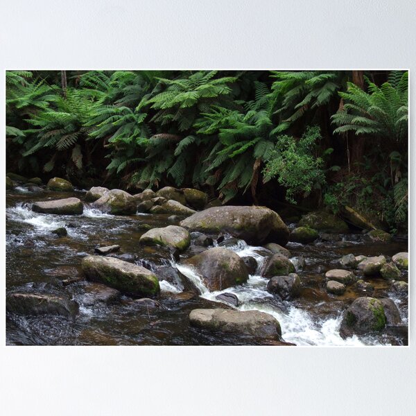 Item preview, Toorongo River near Noojee, Vic. designed and sold by Charles Kosina.