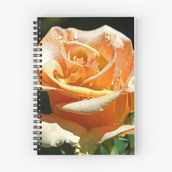 Item preview, Front Yard Rose designed and sold by Chet  King.