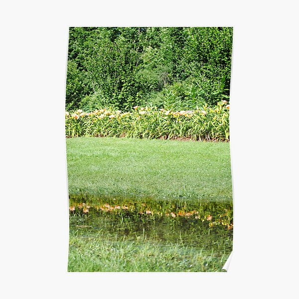Reflecting Pool Poster