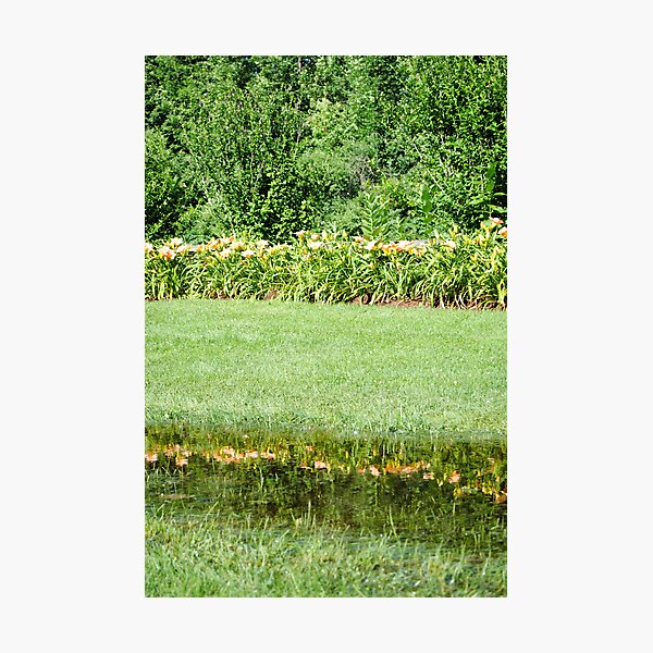 Reflecting Pool Photographic Print