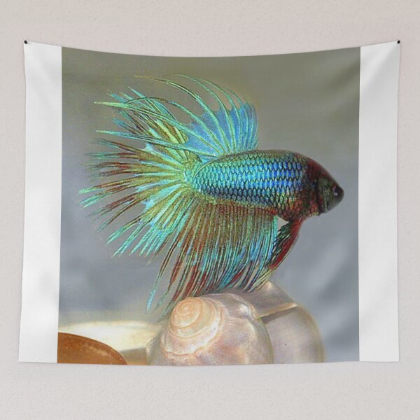 Item preview, Fan Tail Betta Fish designed and sold by vette.