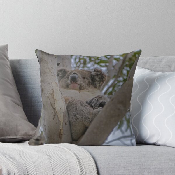Item preview, Koala, Flinders Chase N.P., Kangaroo Island, Sth Australia designed and sold by Margaret  Hyde.