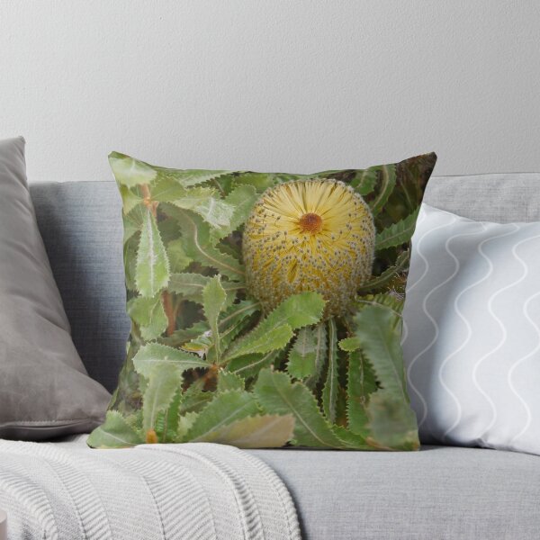 Item preview, Golden Banksia, Kangaroo Island, South Australia designed and sold by Margaret  Hyde.
