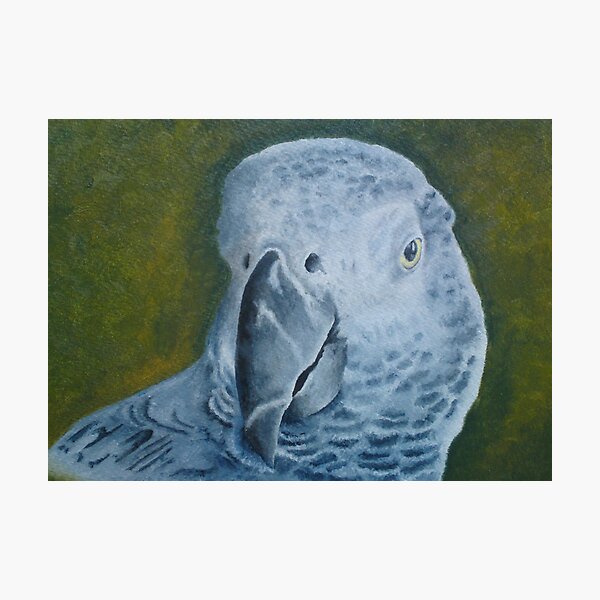 Item preview, Gucci the African Grey designed and sold by Ian Morton.