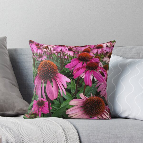 Item preview, Echinacea's ( Coneflowers ) designed and sold by wiggyofipswich.