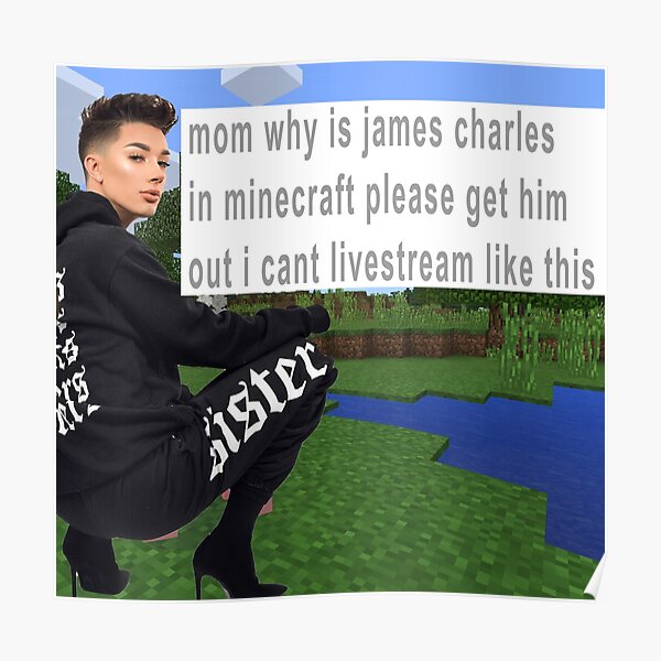 James Charles Minecraft Poster