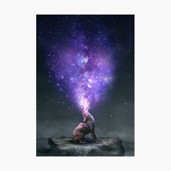 All Things Share the Same Breath Photographic Print