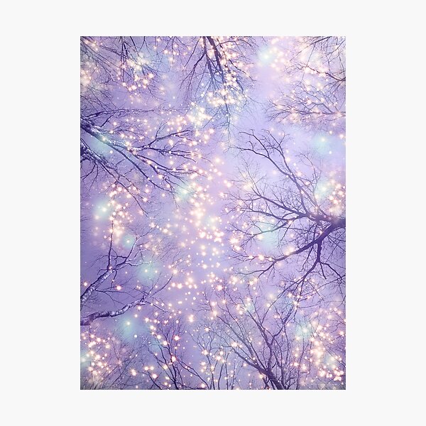 Each Moment of the Year Photographic Print