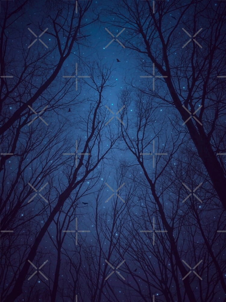 I Have Loved the Stars too Fondly by soaringanchor