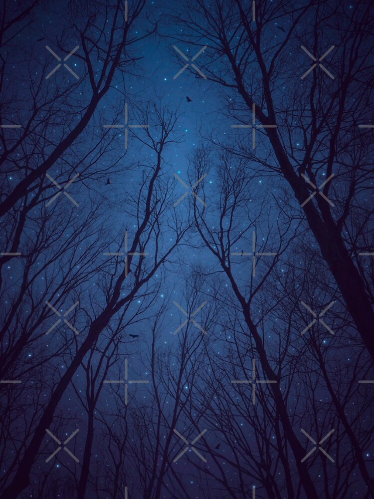 I Have Loved the Stars too Fondly by soaringanchor