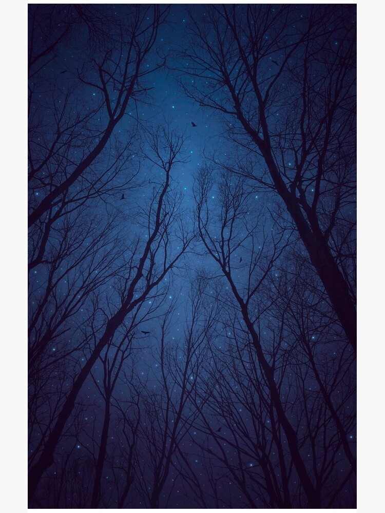 I Have Loved the Stars too Fondly by soaringanchor
