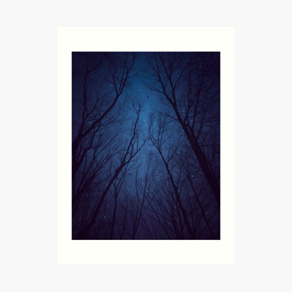 I Have Loved the Stars too Fondly Art Print