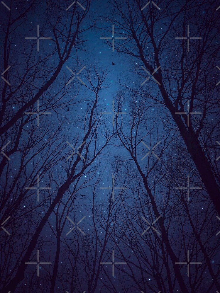 I Have Loved the Stars too Fondly by soaringanchor