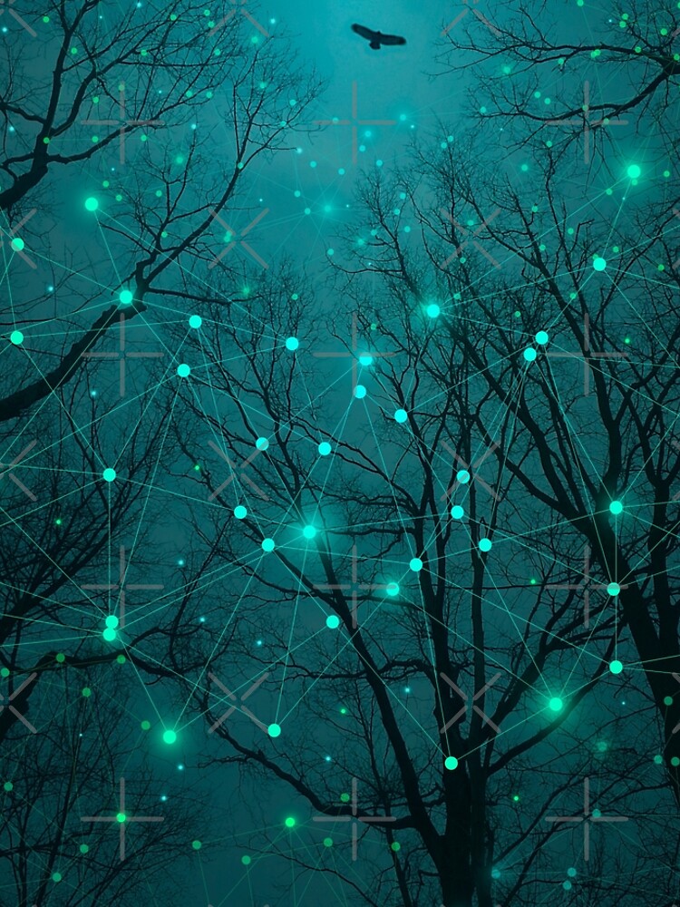 Silently, One by One, the Stars Blossomed by soaringanchor
