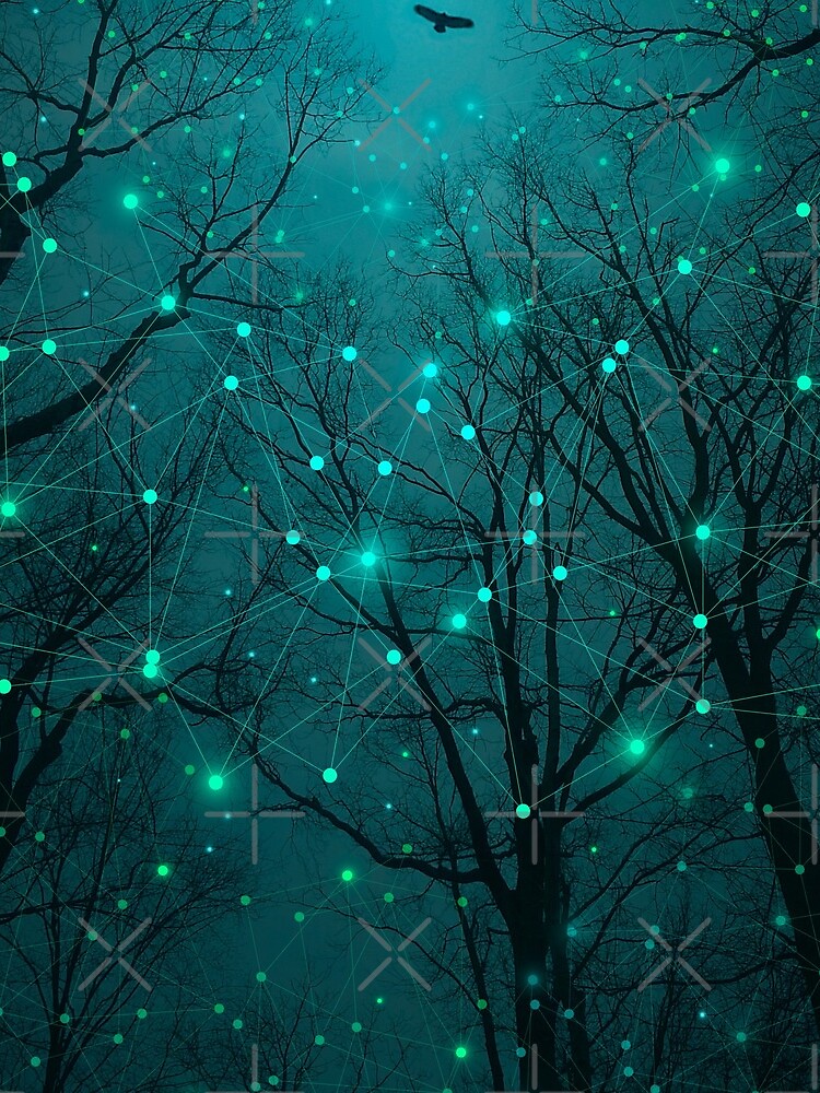 Silently, One by One, the Stars Blossomed by soaringanchor