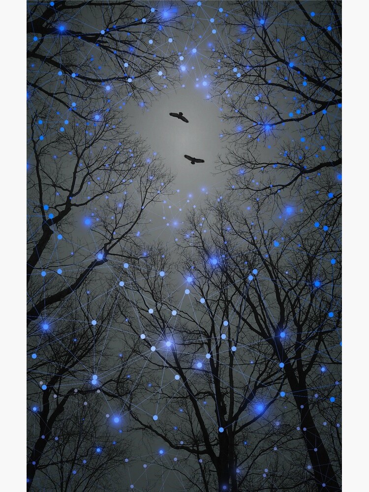 The Sight of the Stars Makes Me Dream by soaringanchor