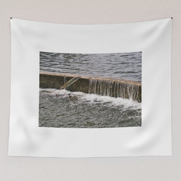 Item preview, Muski 7 - Lake Wingra - Madison - Wisconsin designed and sold by StevenRalserPhoto.