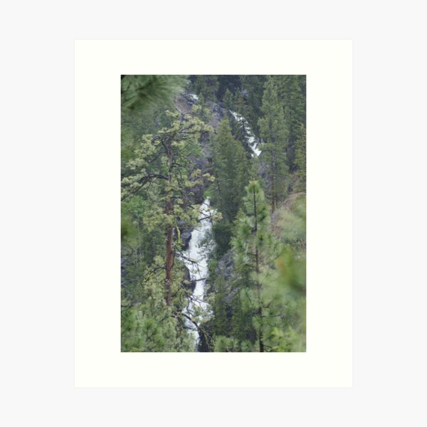 Item preview, The Falls of Falls Creek, Washington designed and sold by Loisb.