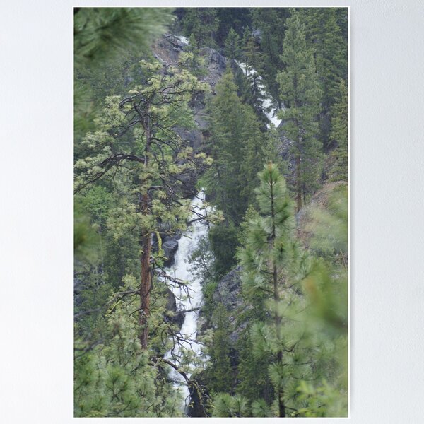 Item preview, The Falls of Falls Creek, Washington designed and sold by Loisb.
