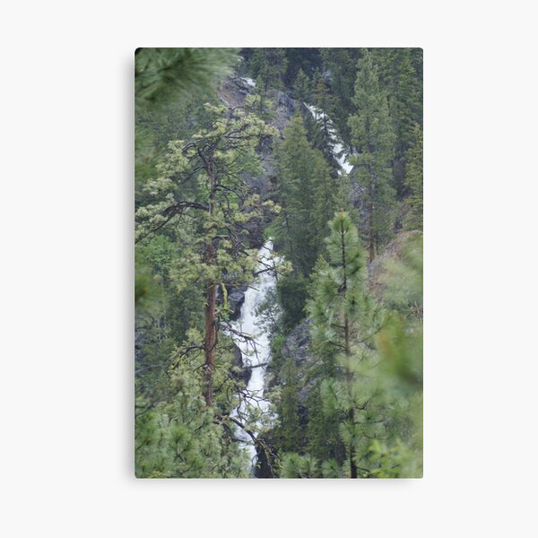 Item preview, The Falls of Falls Creek, Washington designed and sold by Loisb.