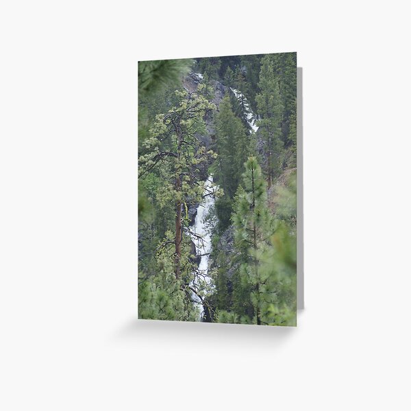 Item preview, The Falls of Falls Creek, Washington designed and sold by Loisb.