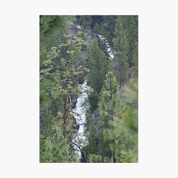 Item preview, The Falls of Falls Creek, Washington designed and sold by Loisb.