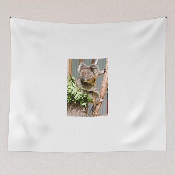 Item preview, Koala - Australia designed and sold by StevenRalserPhoto.