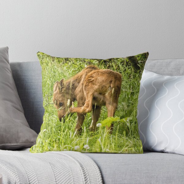 Artikelvorschau, Juckende Nase oder stinkende Füße? entworfen und verkauft von Belinda Greb Photography.