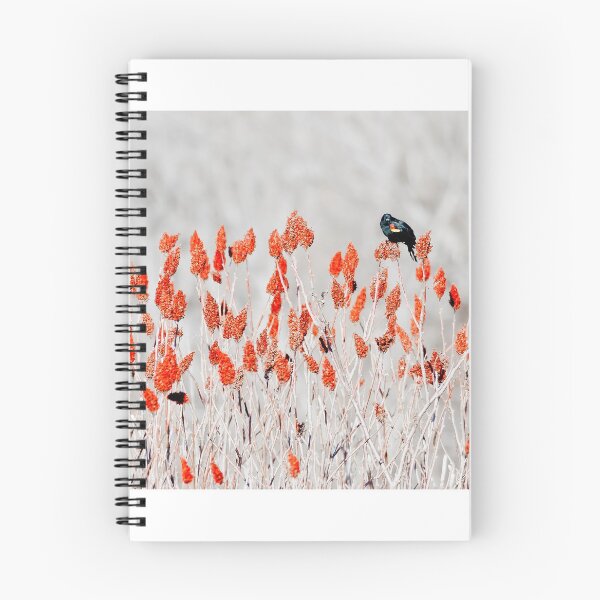 Item preview, Red-winged blackbird, Madison, Wisconsin designed and sold by StevenRalserPhoto.