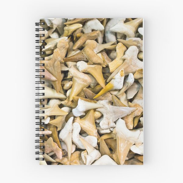 Item preview, Sharks Teeth designed and sold by StevenRalserPhoto.